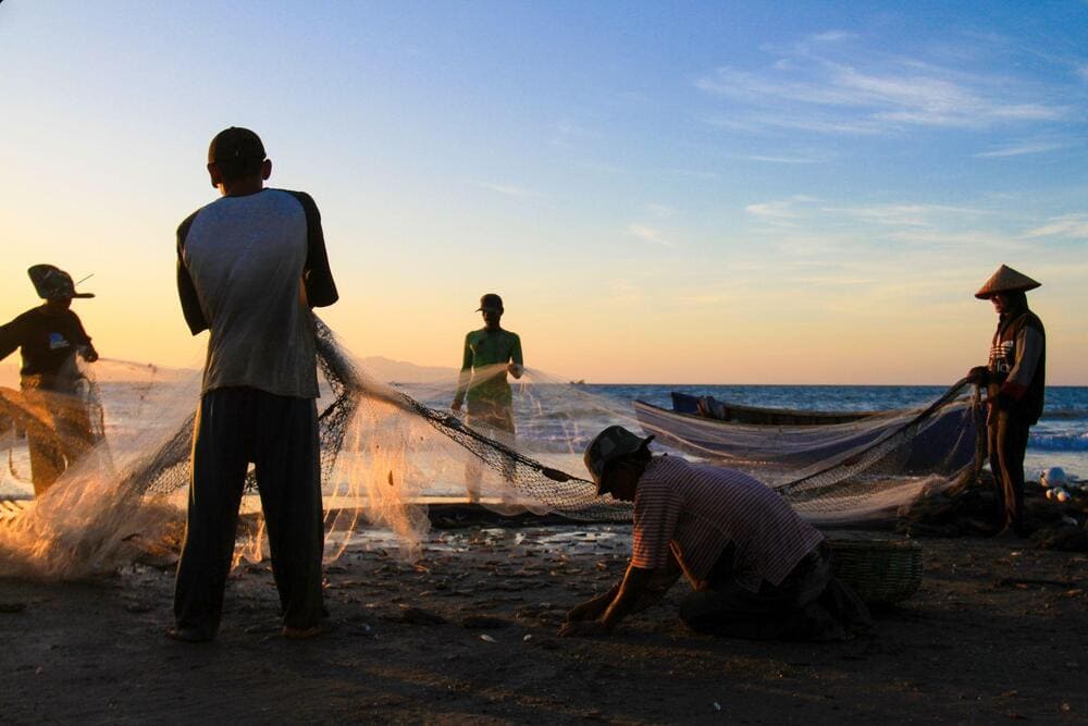 You can see fishermen pulling in their nets when visiting Nam O Beach (Source: Internet)